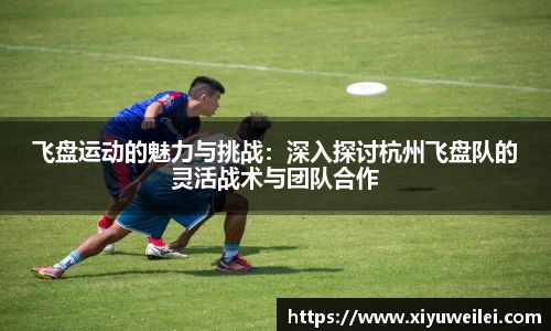 飞盘运动的魅力与挑战：深入探讨杭州飞盘队的灵活战术与团队合作